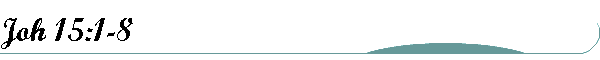 Joh 15:1-8