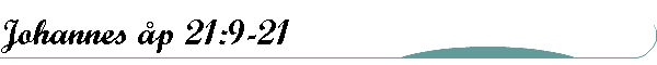 Johannes åp 21:9-21