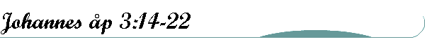 Johannes �p 3:14-22
