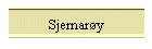 Sjernary