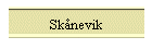 Sknevik