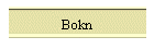 Bokn