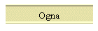 Ogna